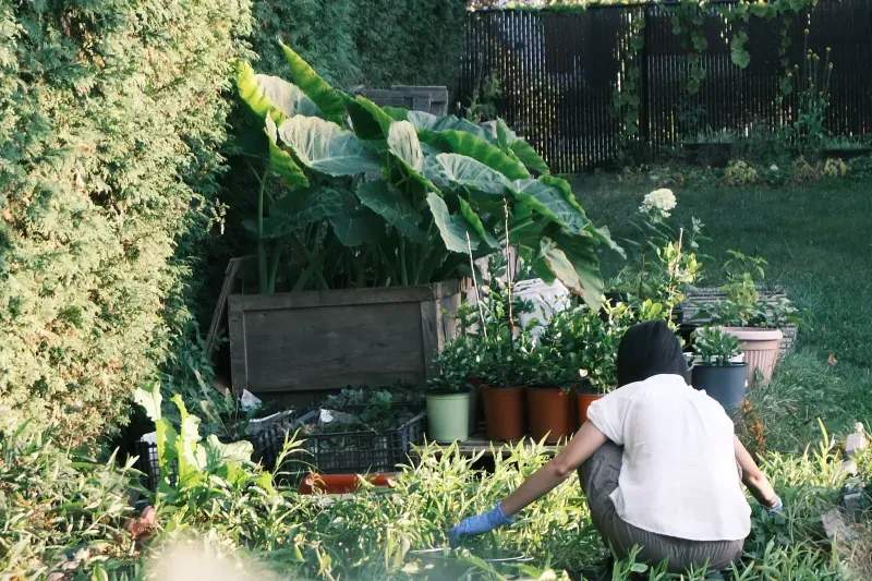Rasenpflege im Jahresverlauf: Worauf es wirklich ankommt