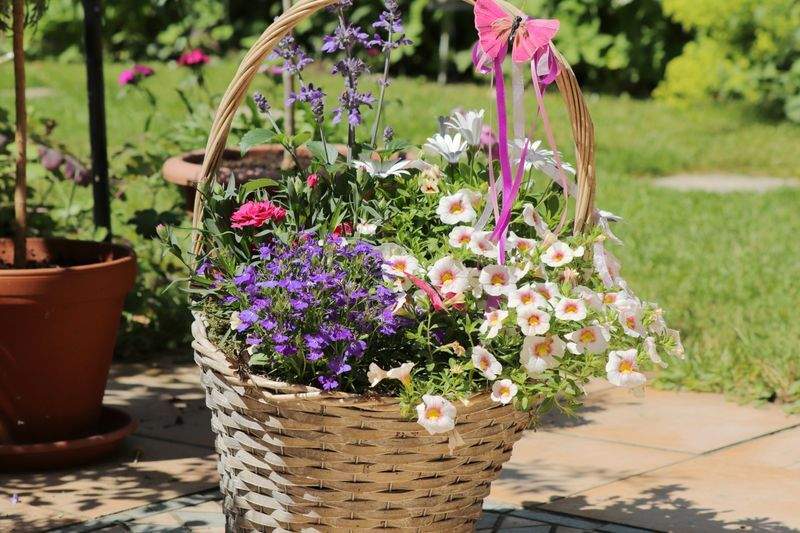AlpenGarten Meisterbetrieb GmbH 13